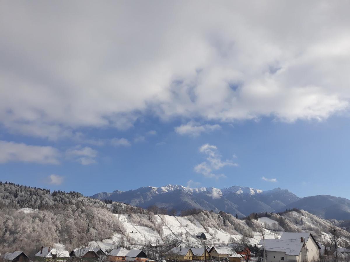 Pensiunea Podul Simonului Bran  Exterior foto