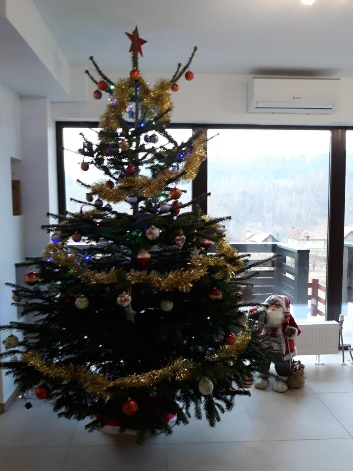 Pensiunea Podul Simonului Bran  Exterior foto