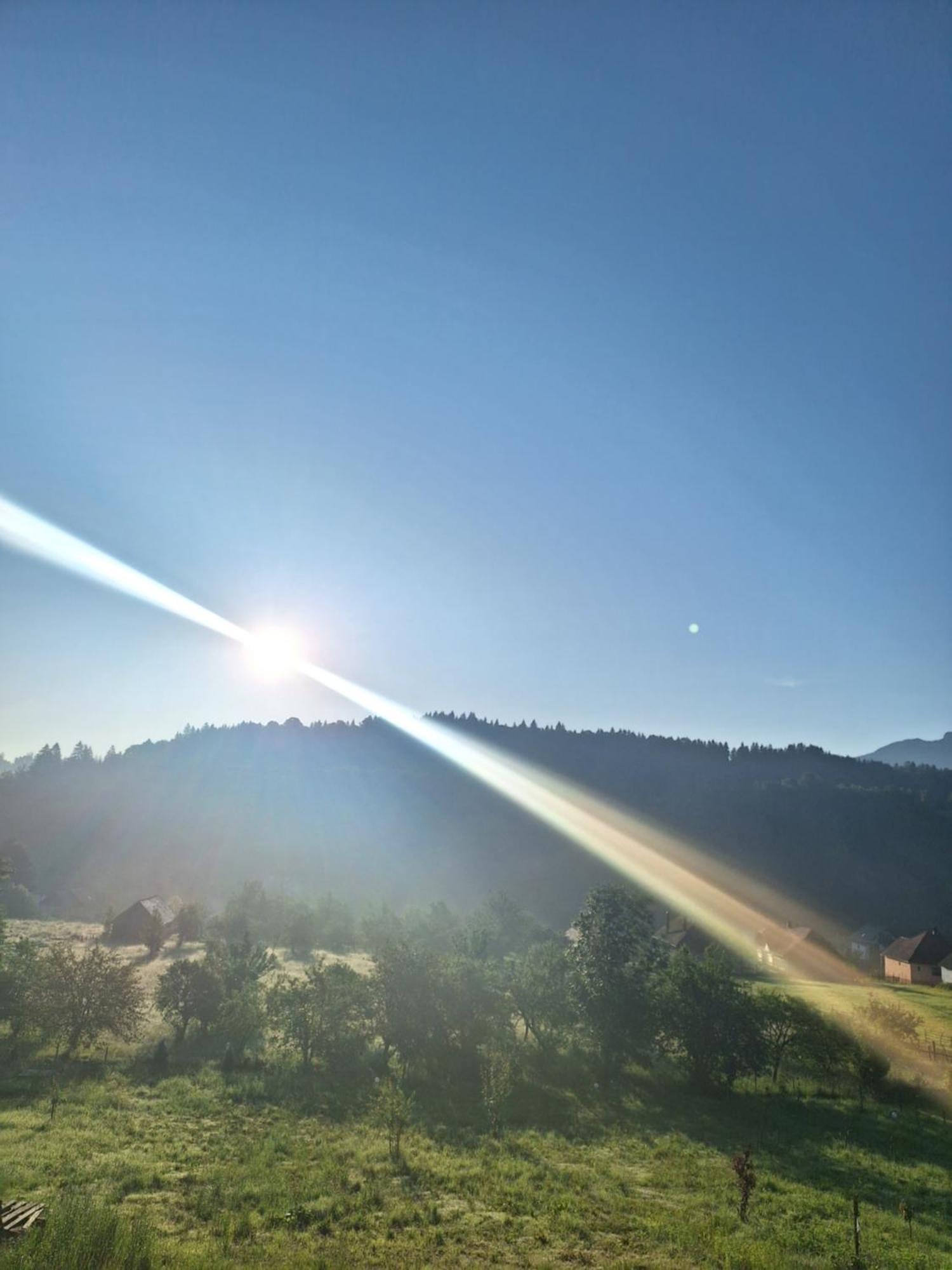 Pensiunea Podul Simonului Bran  Exterior foto