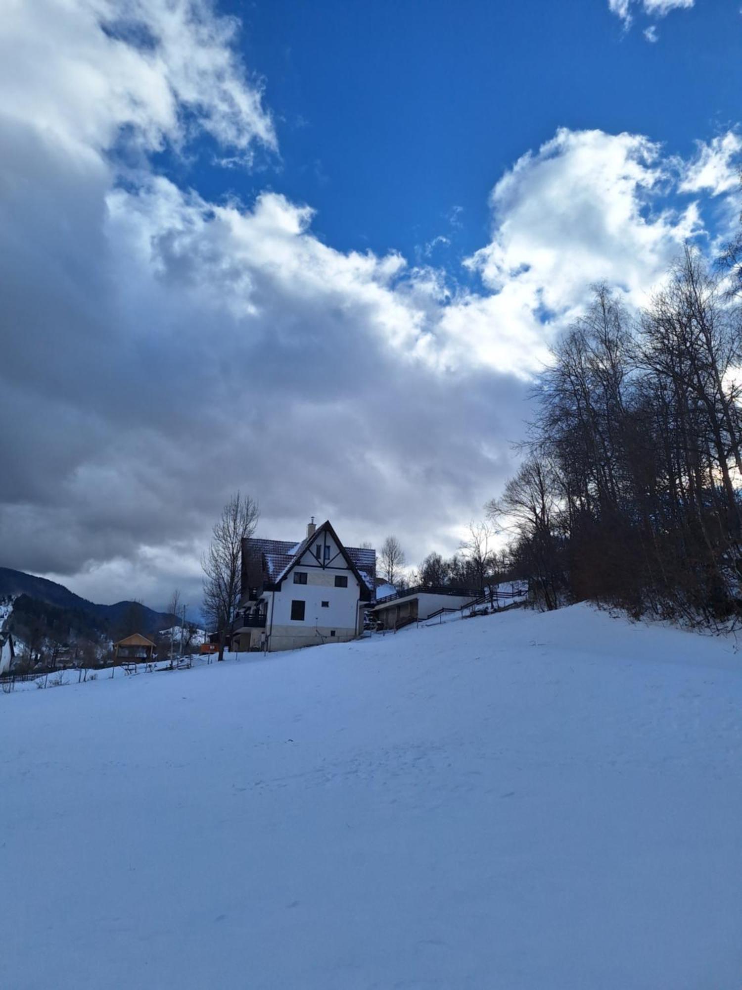 Pensiunea Podul Simonului Bran  Exterior foto
