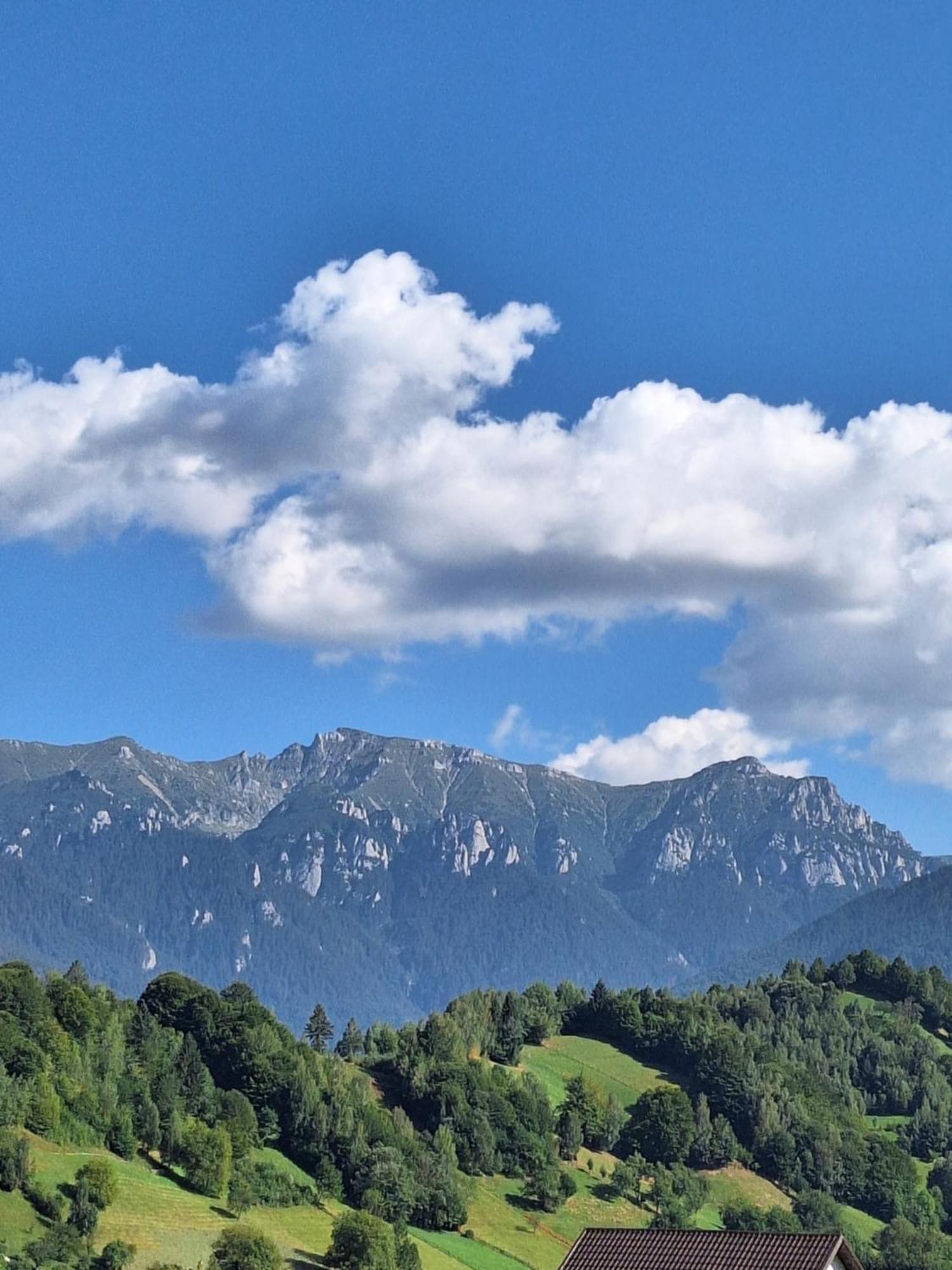Pensiunea Podul Simonului Bran  Exterior foto