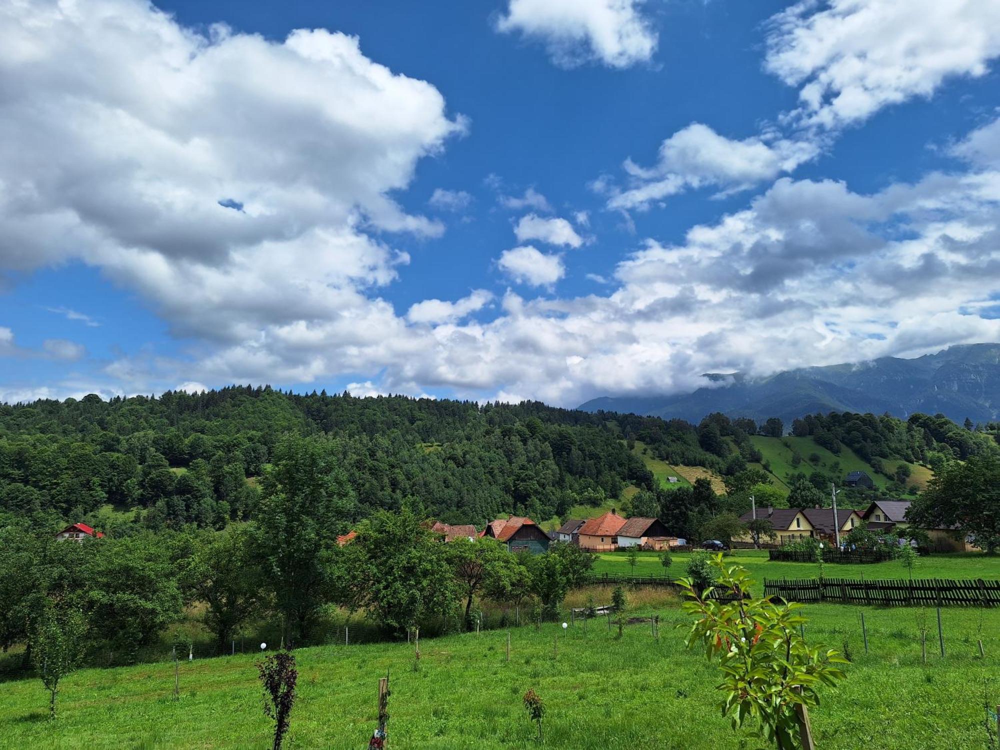 Pensiunea Podul Simonului Bran  Exterior foto