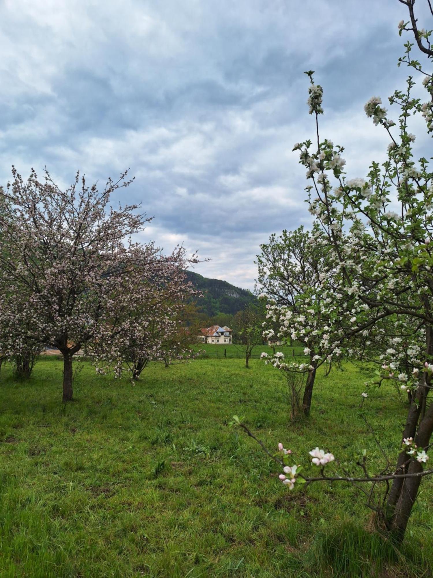 Pensiunea Podul Simonului Bran  Exterior foto